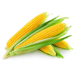 Yellow corns